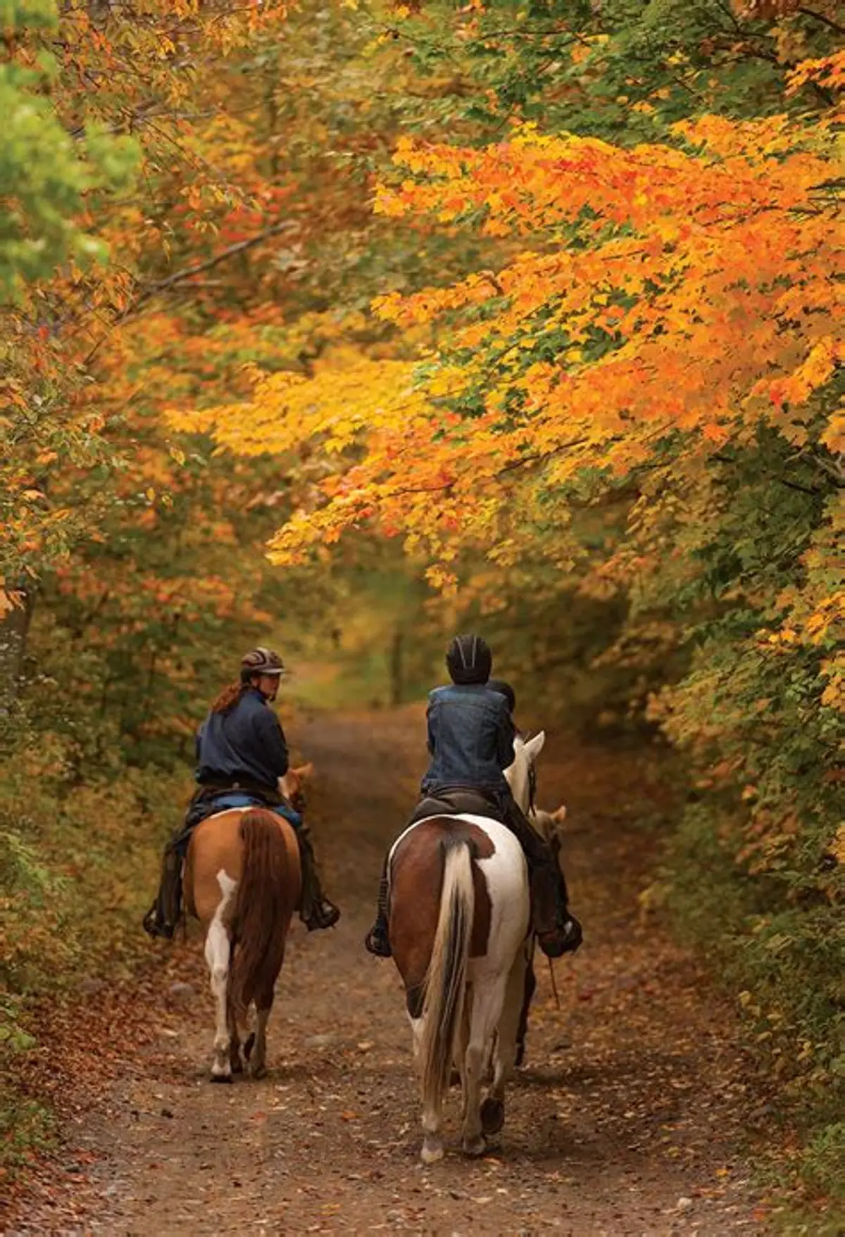 Komani Country Trails